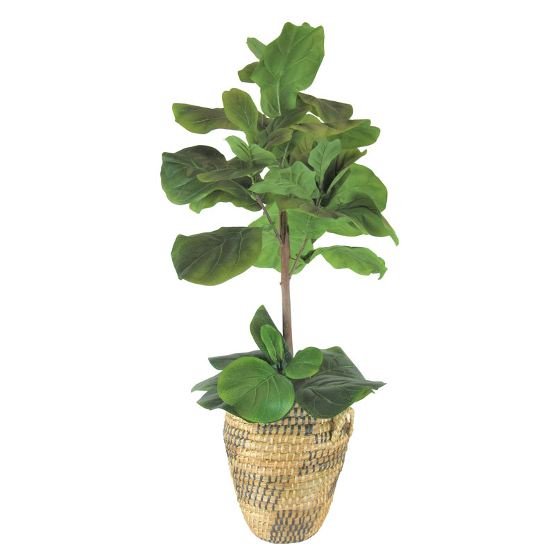 World Menagerie 40'' Artificial Fiddle Leaf Fig Tree in Basket Wayfair